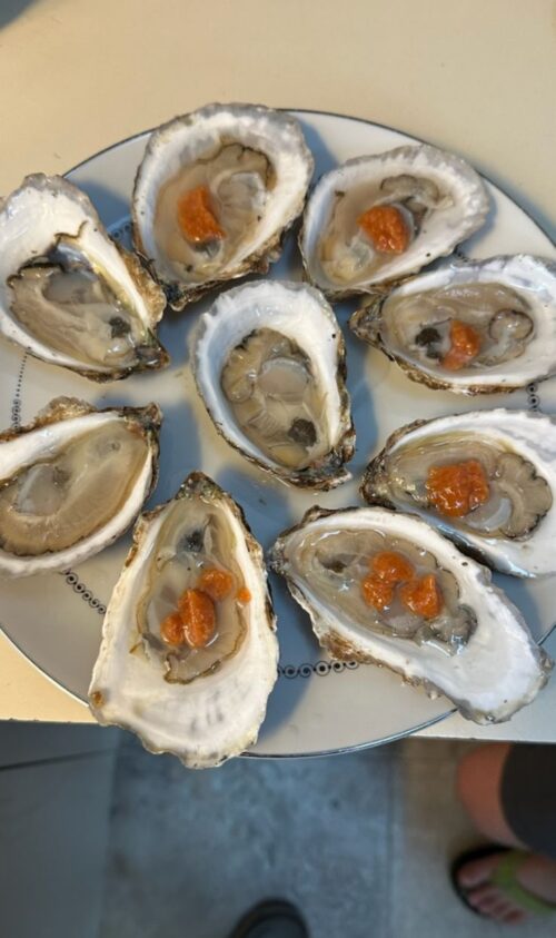 100 Fresh Oysters